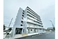 IL VIALE