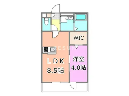 LUMINA SEASIDE(1LDK/3階)の間取り写真