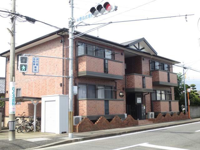 ウィルモア・Y