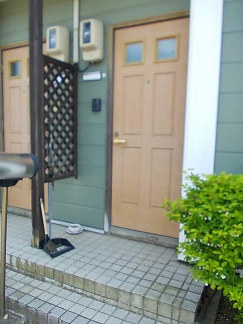ローテローゼY
