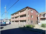 セレーノ木の下