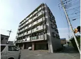 ラピュタ武蔵野