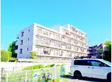 TS GARDEN 一橋学園