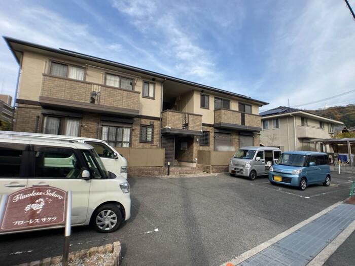 フローレス桜
