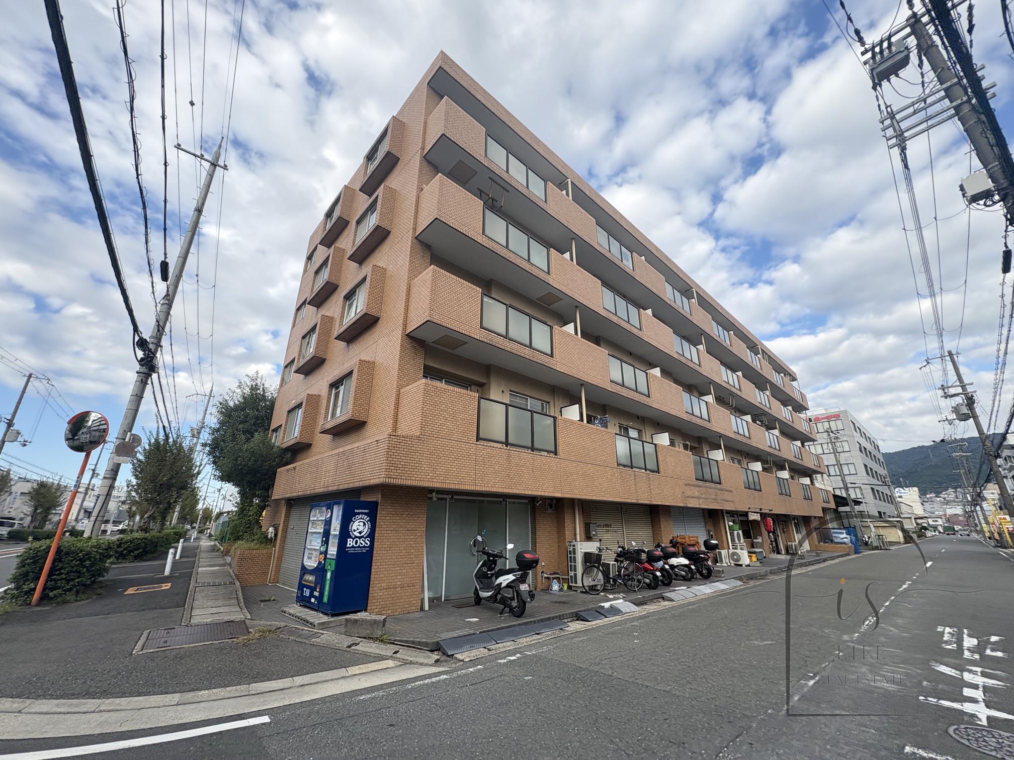 シロハイヌ吉田
