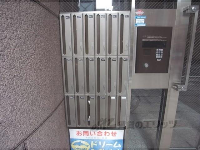 エクセル錦