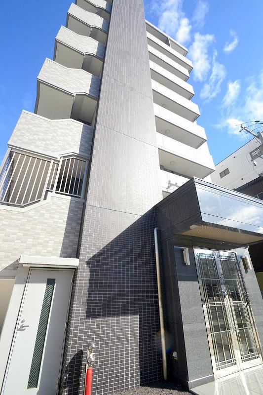 SELVA RIO