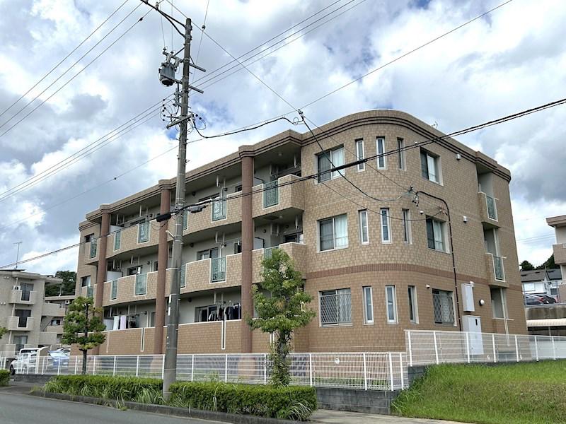 アイヴィ