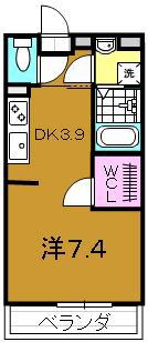 シャルムコート(1DK/1階)の間取り写真