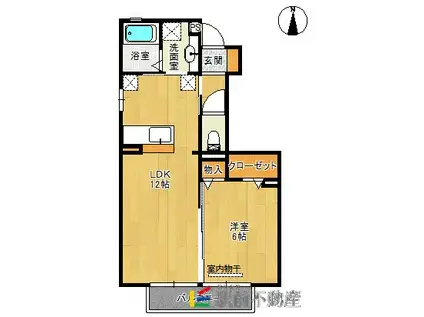 プルミエ(1LDK/1階)の間取り写真