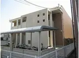 シャロル TK
