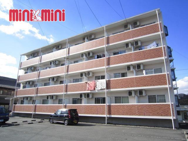 マルベリーハイアットIII