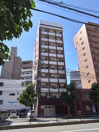 BAUHAUS広島駅前(ワンルーム/7階)