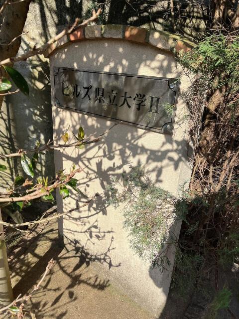 ヒルズ県立大学II