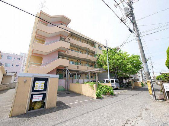 チェルシー青江東