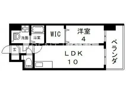 カウニス布施(1LDK/5階)の間取り写真