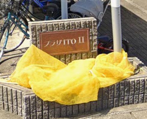 プラザITOII