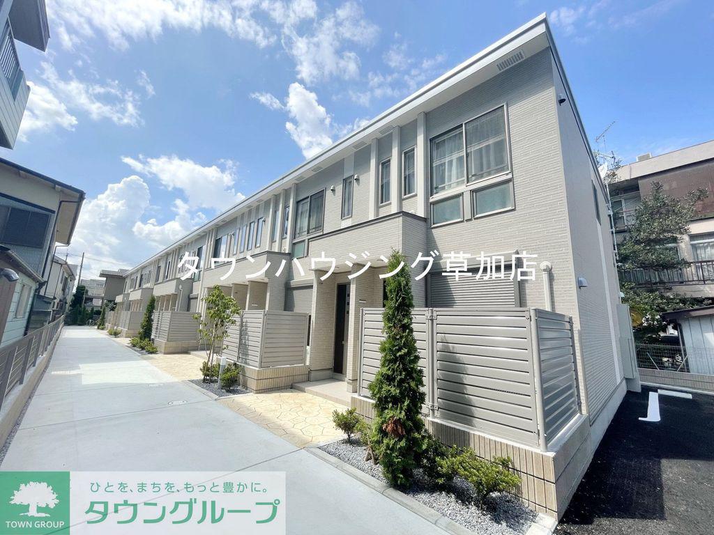 OLIVE TERRACE