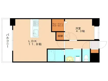 アドヴァンスコート中井(1LDK/11階)の間取り写真