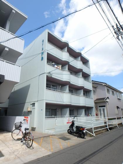 セリーヌ伊島