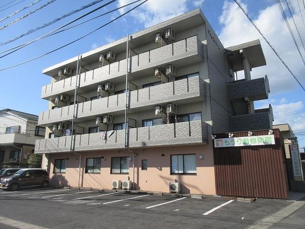 タイムストリーム307(1K/3階)