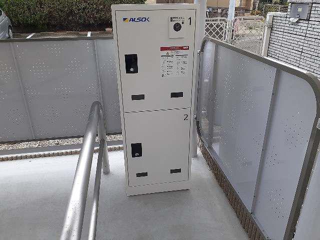 ラナンキュラスII