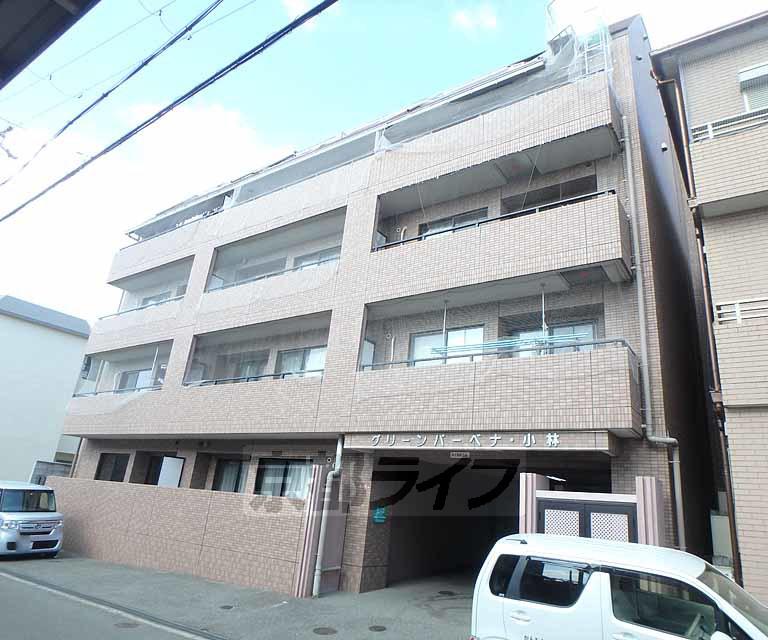 グリーンバーベナ小林