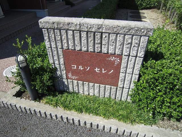 コルソ セレノ
