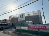 ダイアンサスIII