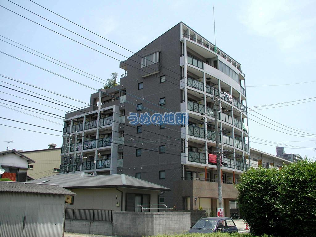 ACTIVE UMEMITSU