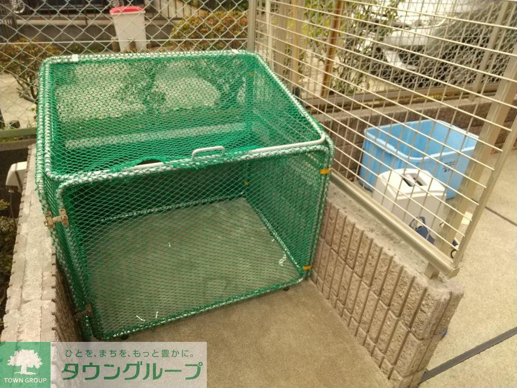 ジュネスII