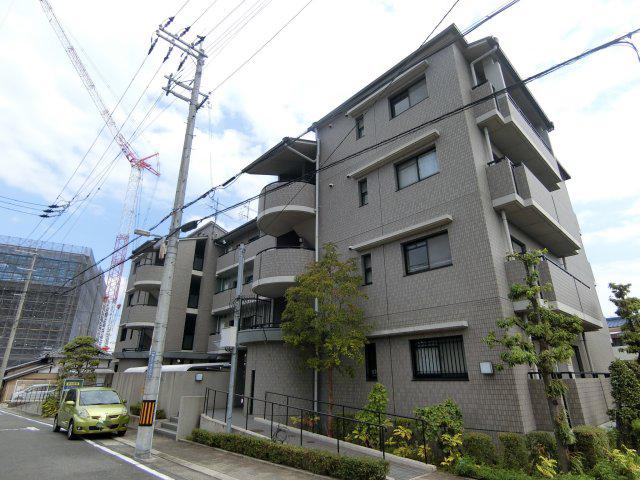 アムールツジタ