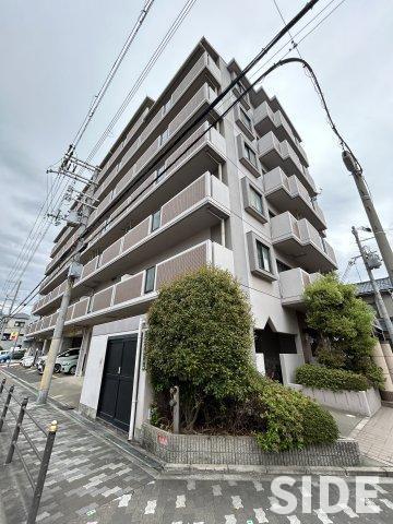 UスギモトII