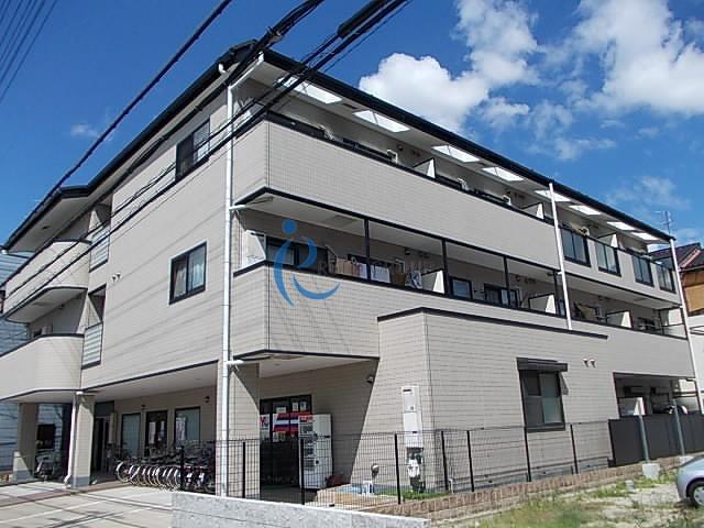 インフィニティ シバタ