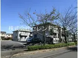 ベルテA/B