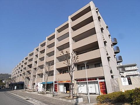 白鷹苦楽園マンション(1LDK/6階)