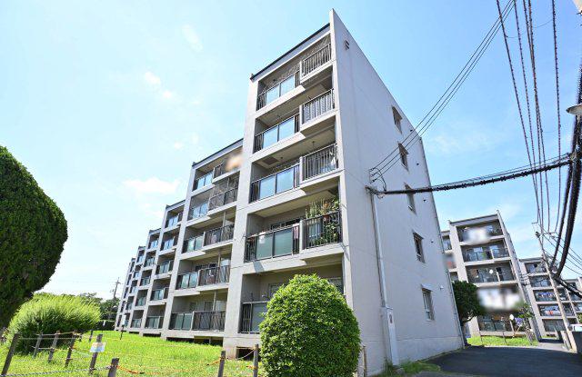 新大宮ハイタウンF棟 505