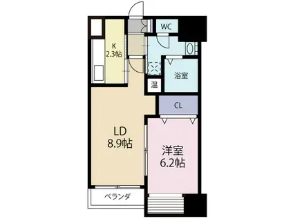 ローレルコート常盤(1LDK/7階)の間取り写真