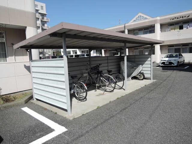 ソニアエクセルB
