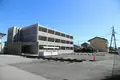 アカンサス細内