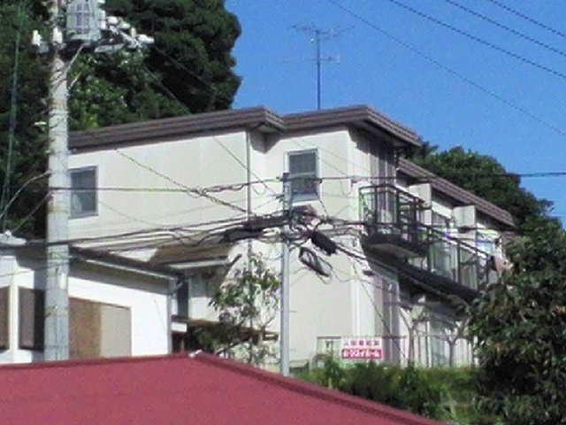 アップルハウス