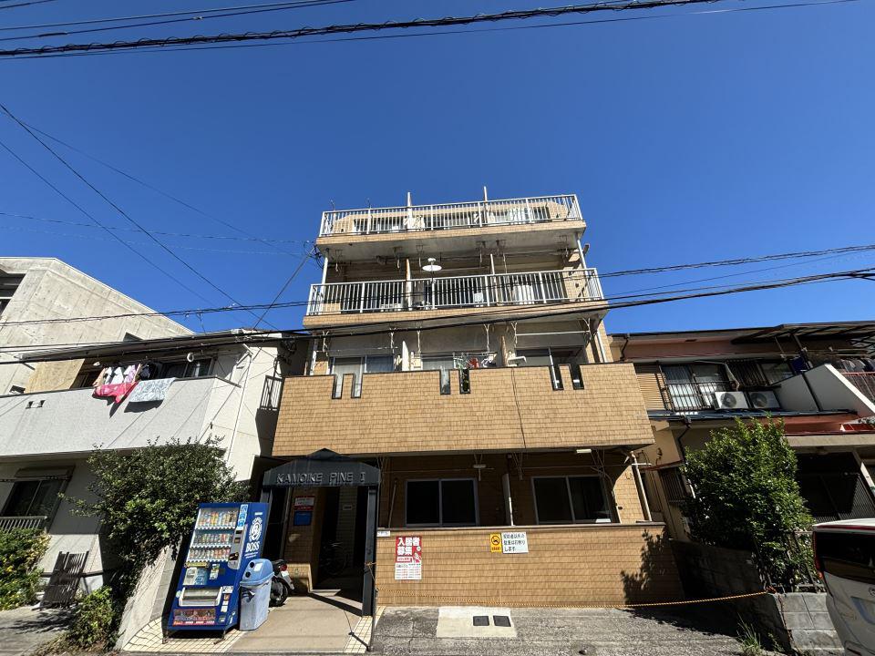 KAMOIKE PINEI