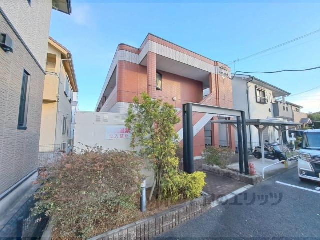 桜ステージ