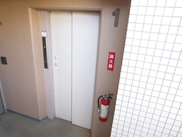 シャントレル