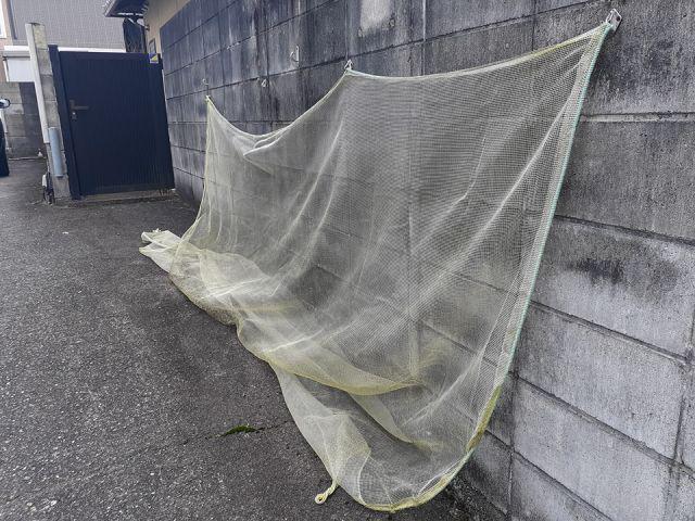 ボナール駒