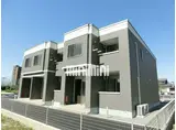 スターテラスマツ