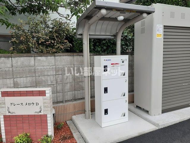 グレース メロウ D