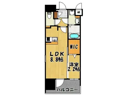 グランフォーレ箱崎プレミア(1LDK/11階)の間取り写真