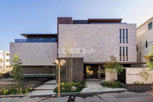 ステラ キャシェット