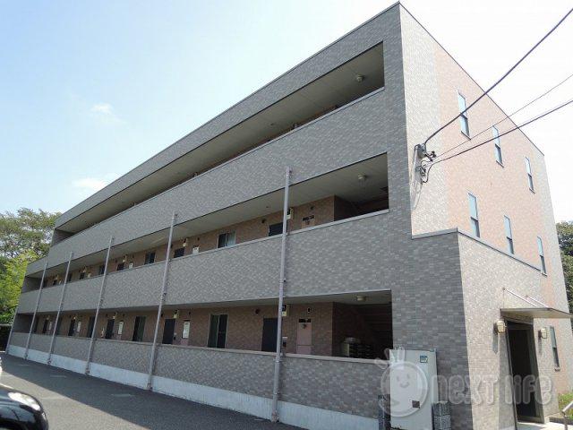 アンプルールフェールドリーミ